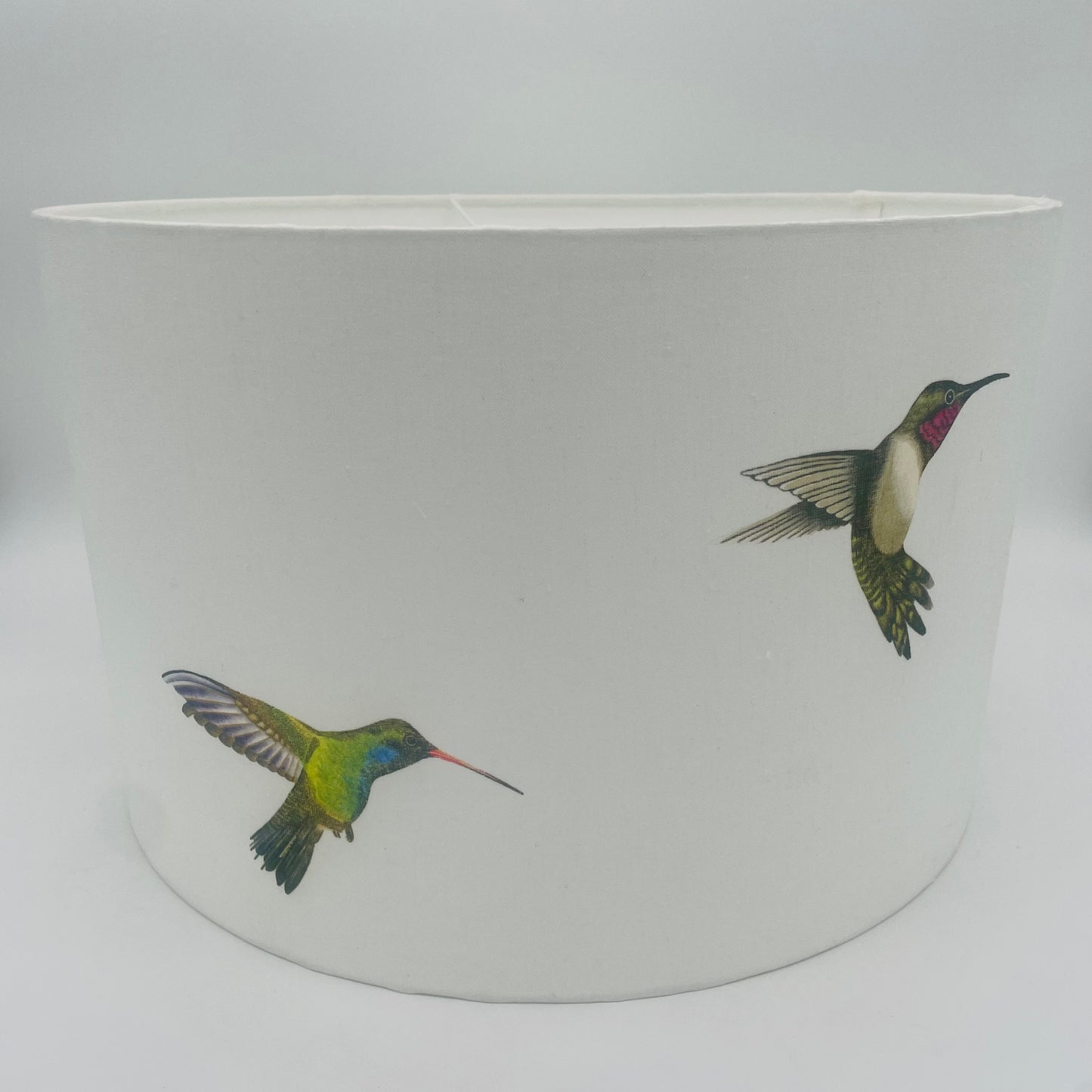 Large Hummingbird Drum Lampshade